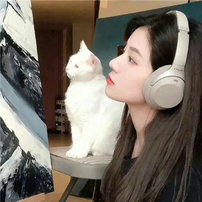 庇护所